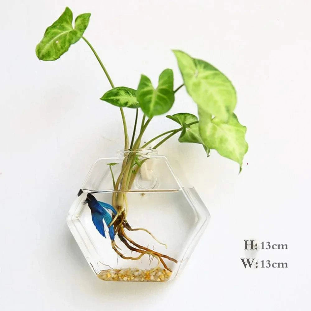 Hydro Planter Hanging Wall Decor