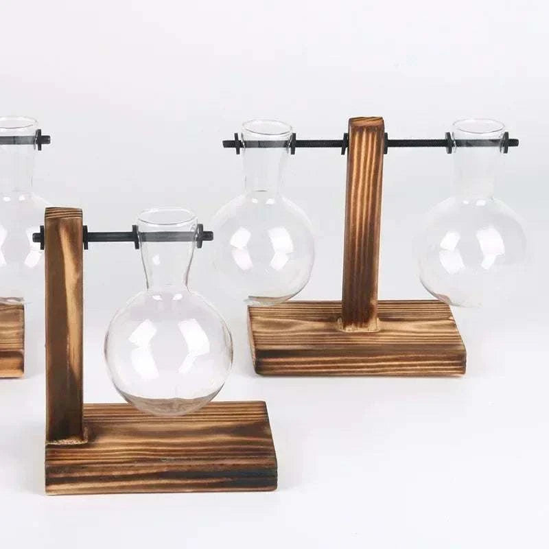 Hydroponic Plant Terrarium Vasevase Decoration