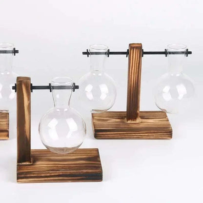 Hydroponic Plant Terrarium Vasevase Decoration