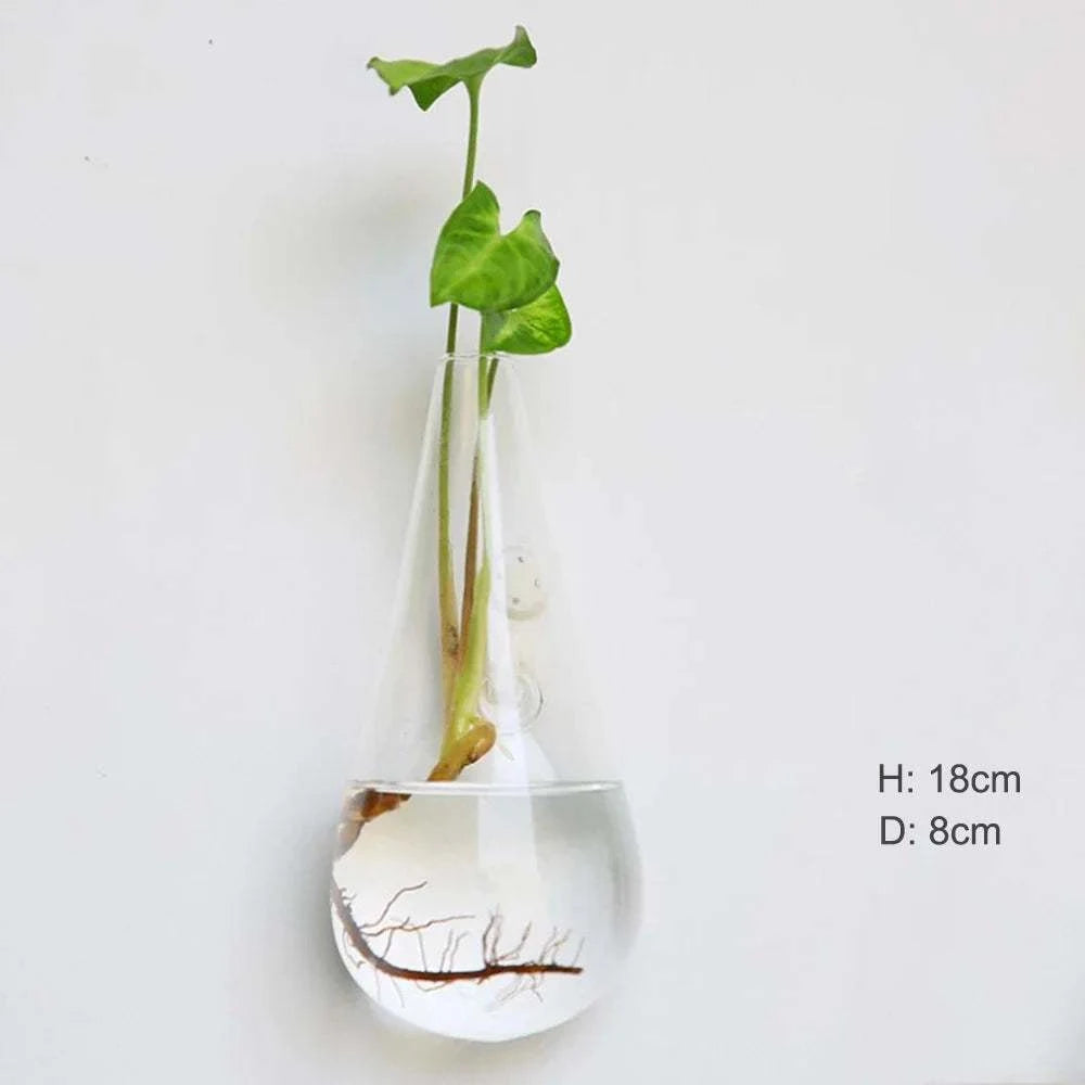 Hydro Planter Hanging Wall Decor