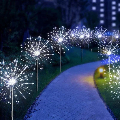 Dandelion Firework Lights with bright white LED bulbs arranged in spherical bursts lining a garden pathway at night